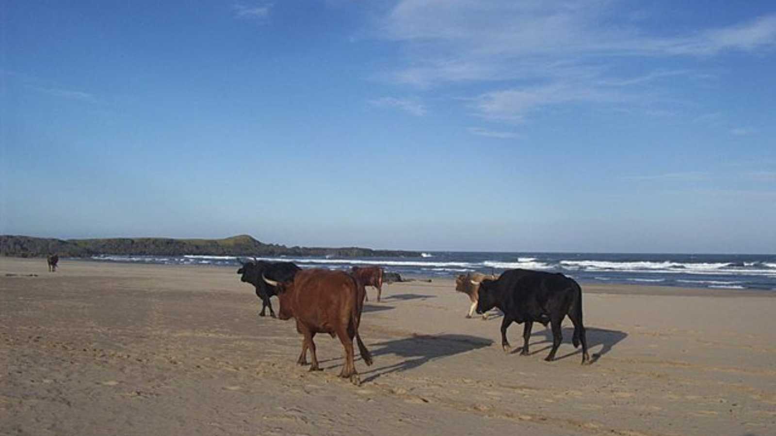 African Beaches You Must Visit in 2025