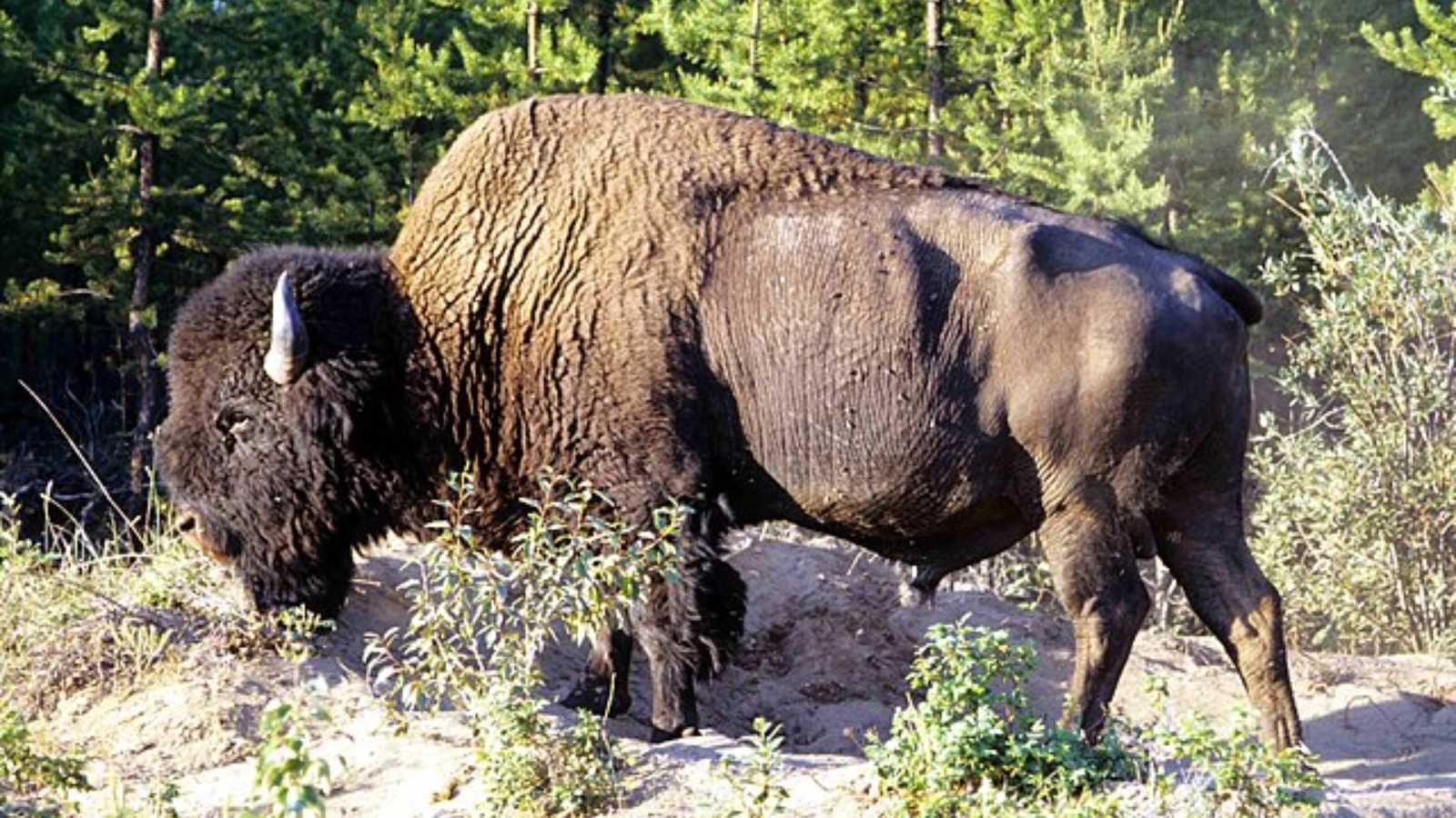 Stunning Nature Parks and Reserves in Canada You Need to See!