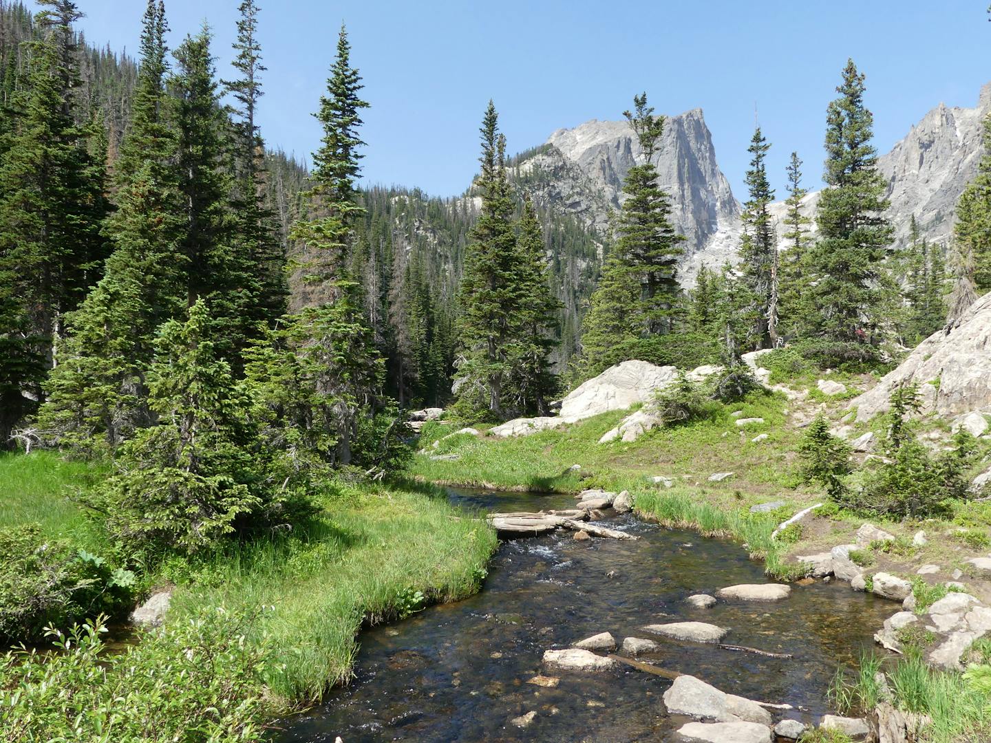 Beautiful view of a clear creek flowing through Rocky Mountain National Park in Colorado with lush fir trees and mountains.