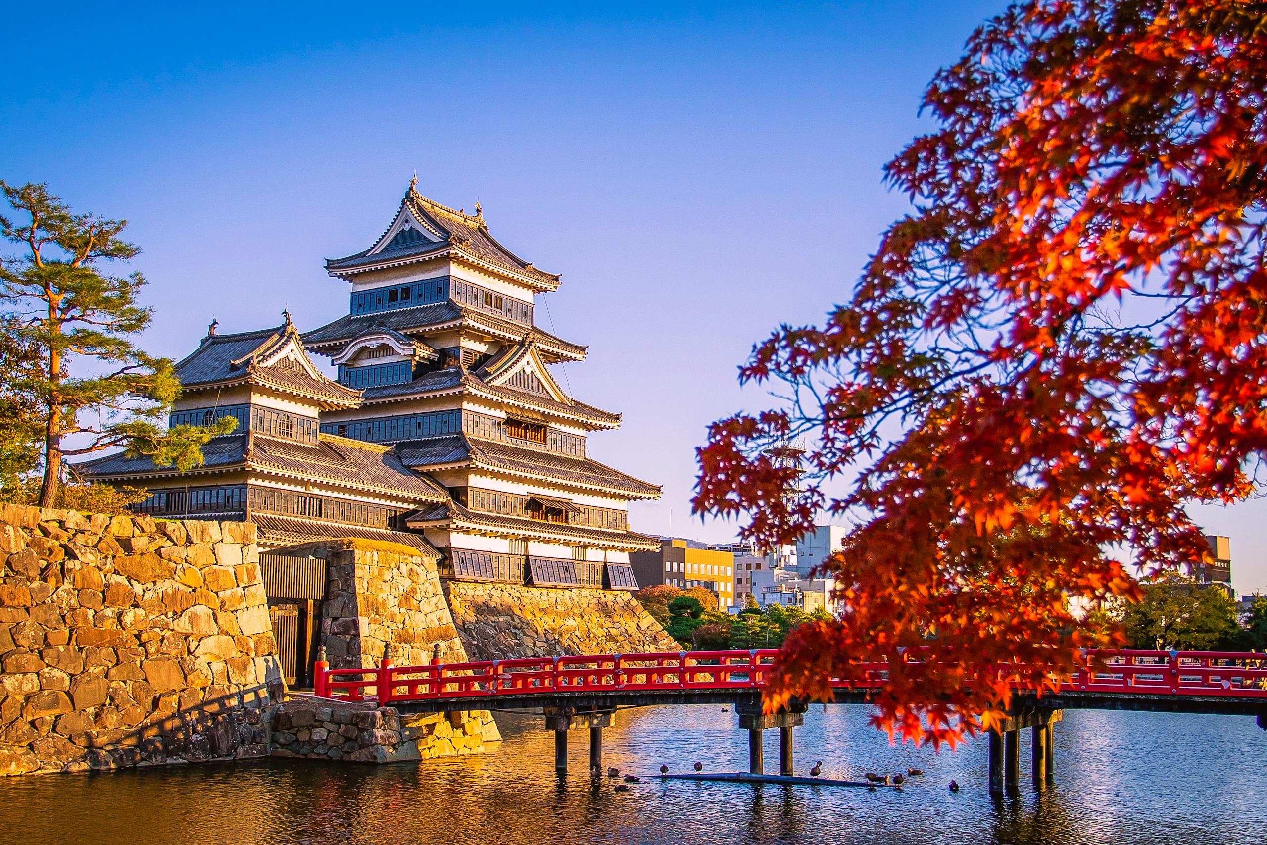 Scenic view of Matsumoto Castle with vibrant autumn foliage and a red bridge in Japan.