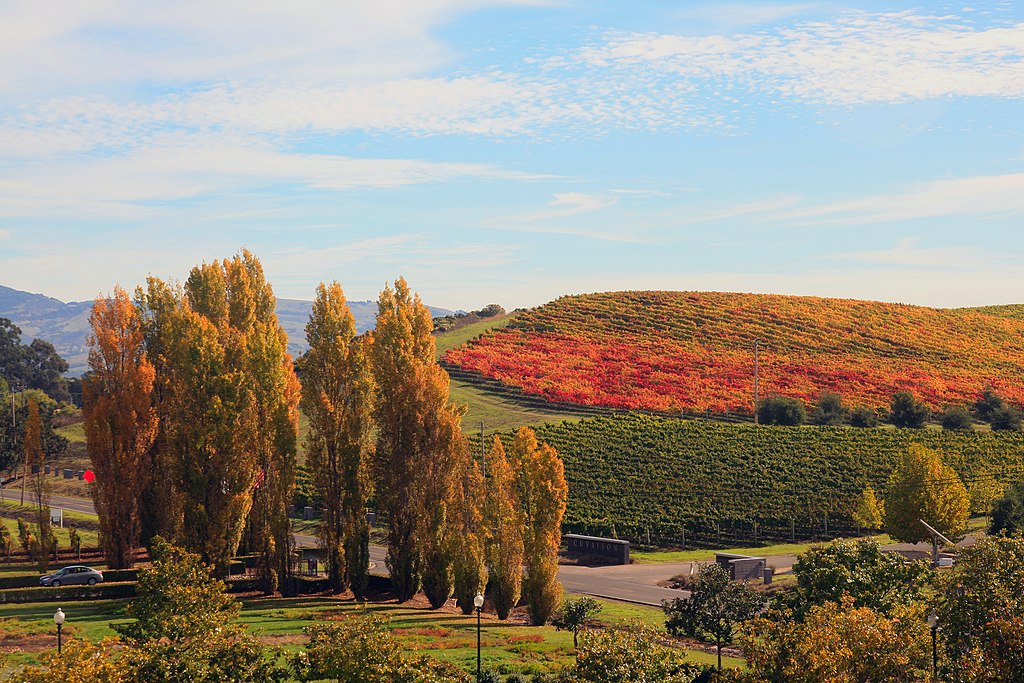 10 Must-Visit U.S. Destinations for the Ultimate Girls’ Trip