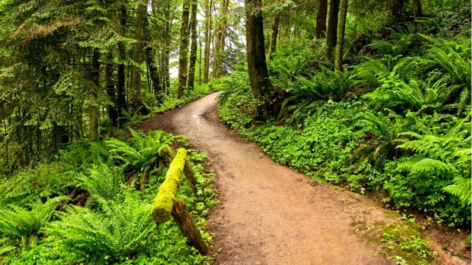 The15 Quietest Places on Earth