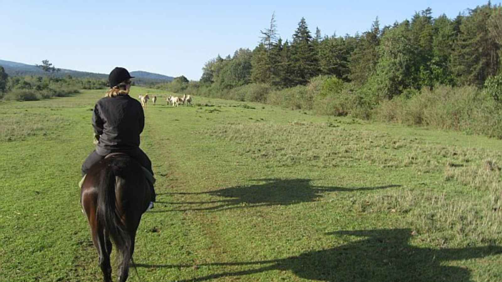 17 Dream Destinations Every Horse Lover Needs to Visit