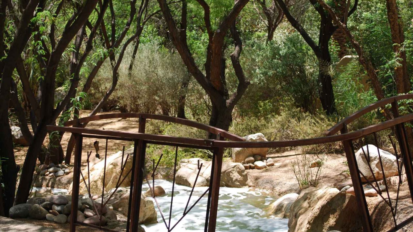 17 Serene Escapes That Redefine the Wellness Getaway Experience