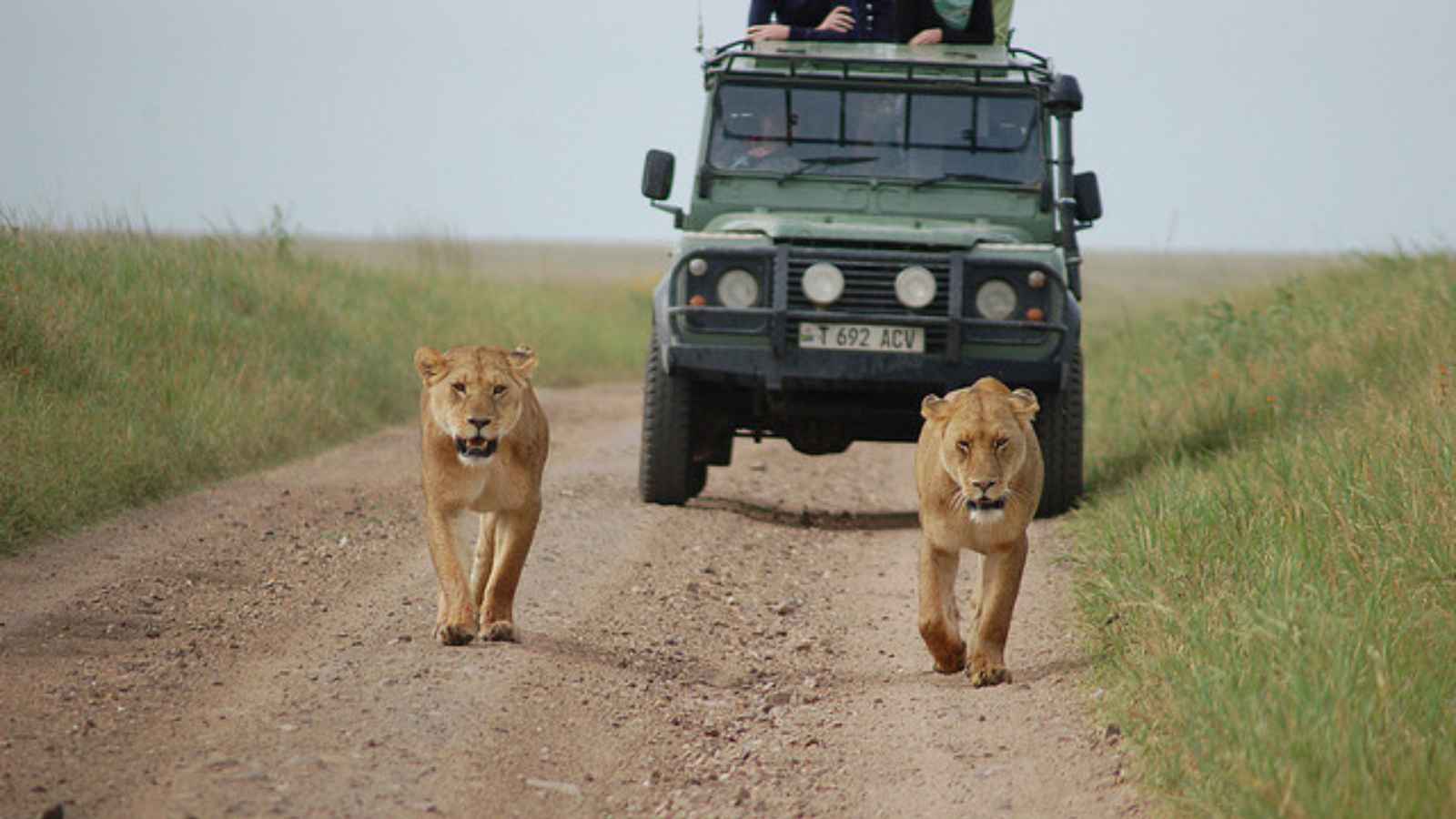 17 Luxurious Experiences That Are Absolutely Worth Every Penny