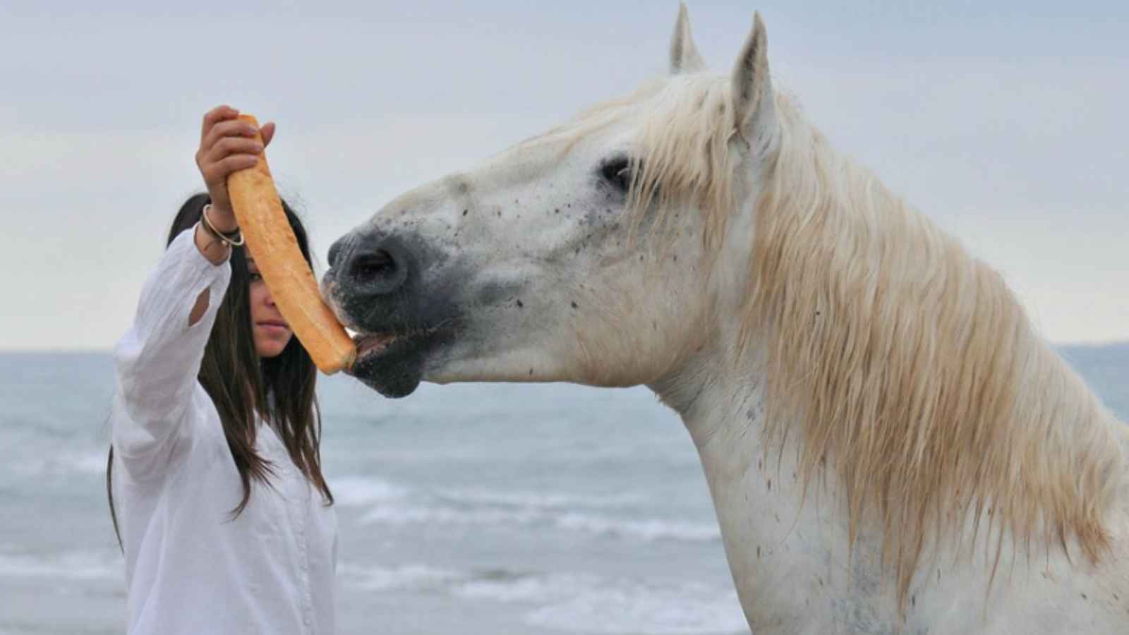17 Dream Destinations Every Horse Lover Needs to Visit