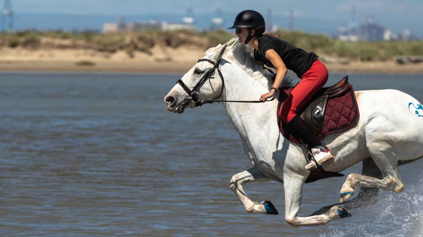 17 Dream Destinations Every Horse Lover Needs to Visit