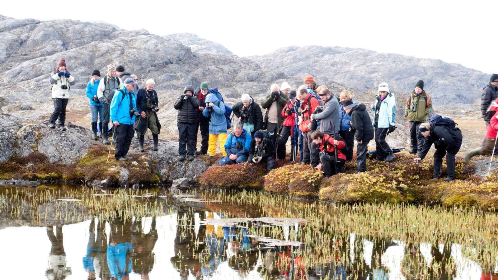 12 Eye-Opening Facts About Greenland That Americans Should Know