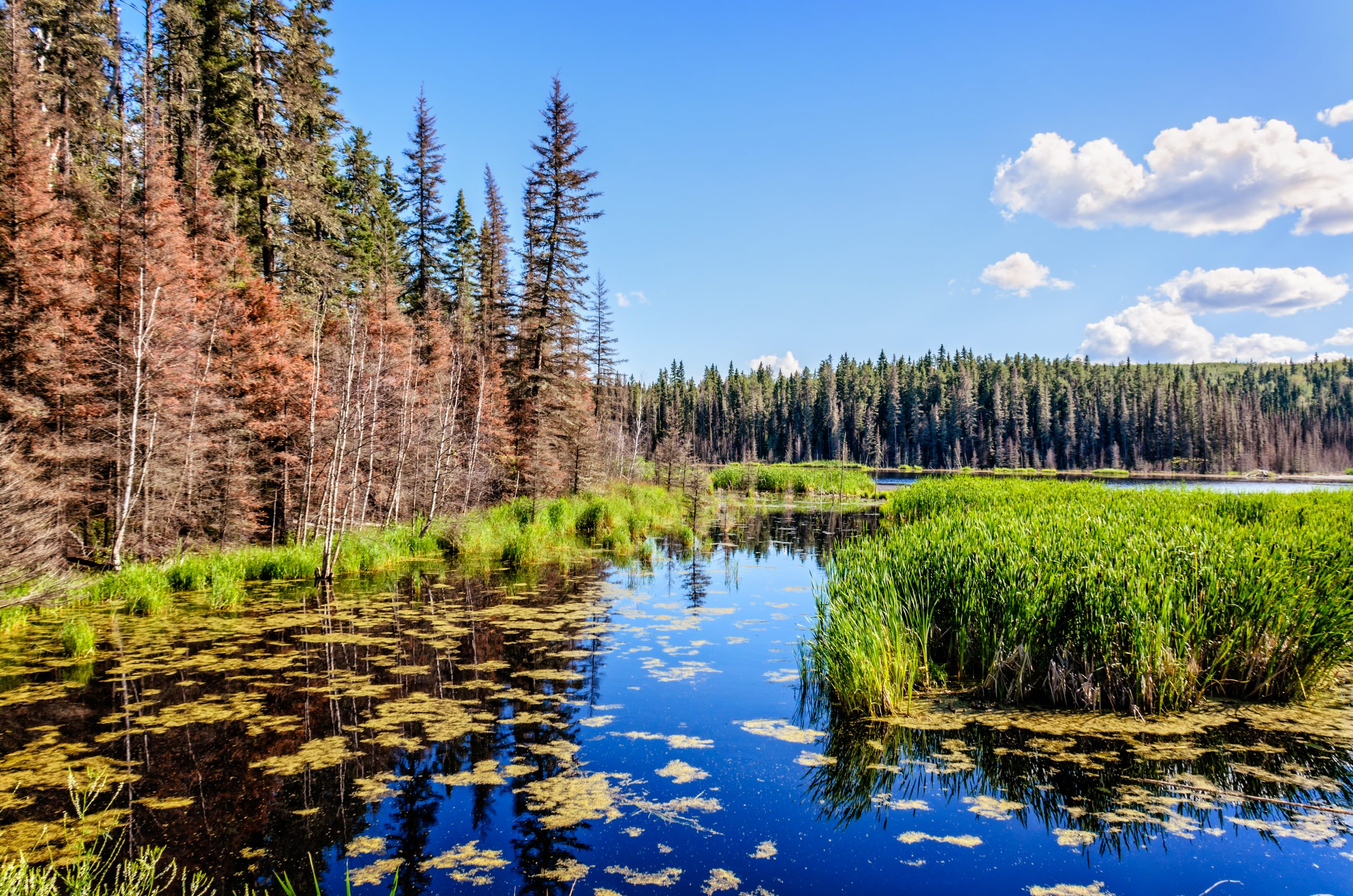 12 National Parks Every Canadian Needs to Explore