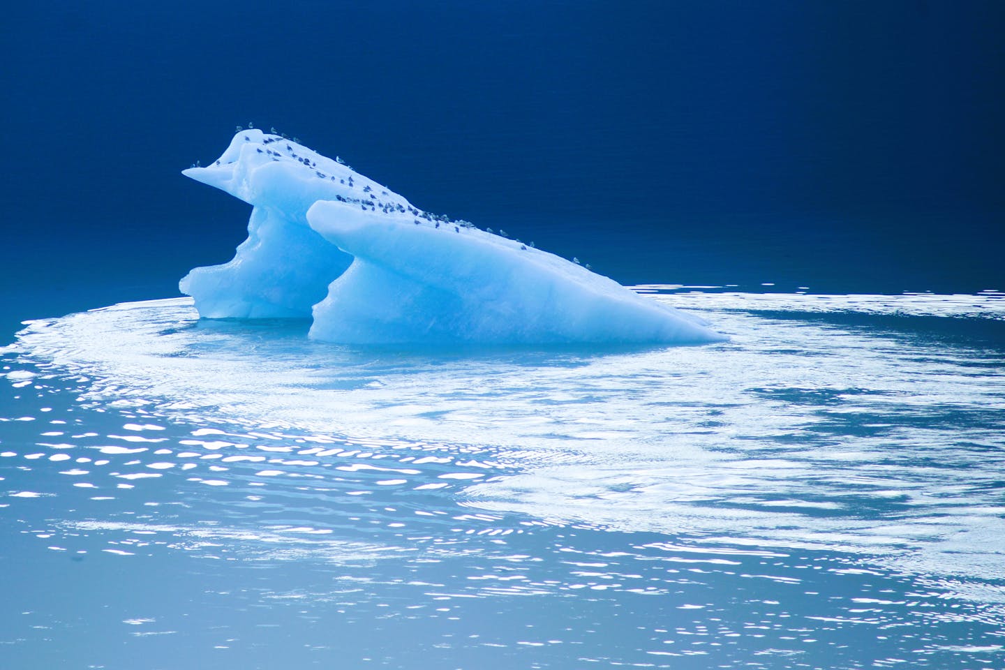 A serene iceberg with birds perched against a bright blue water surface in Canada.