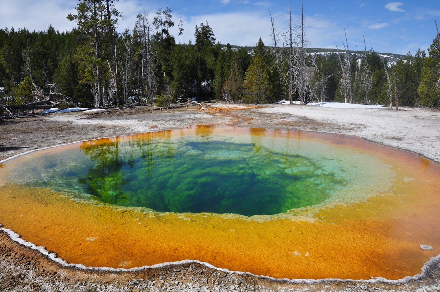 Colorful hot spring with vibrant hues in Yellowstone National Park.