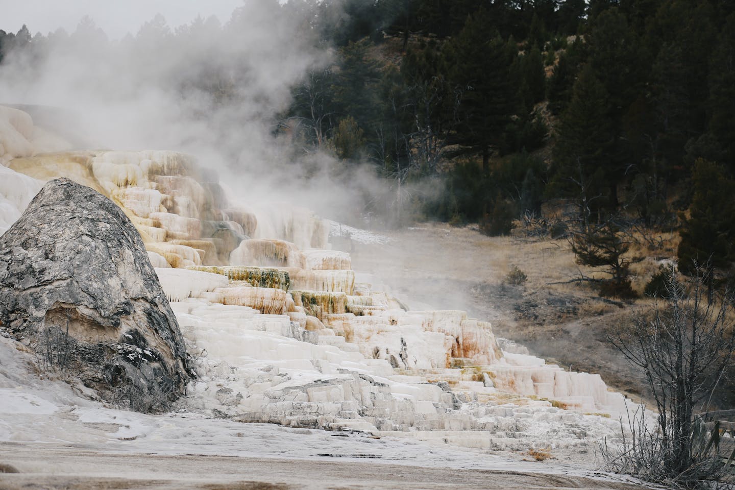 Steam rises from Mammoth Hot Springs, a natural wonder in Yellowstone National Park.
