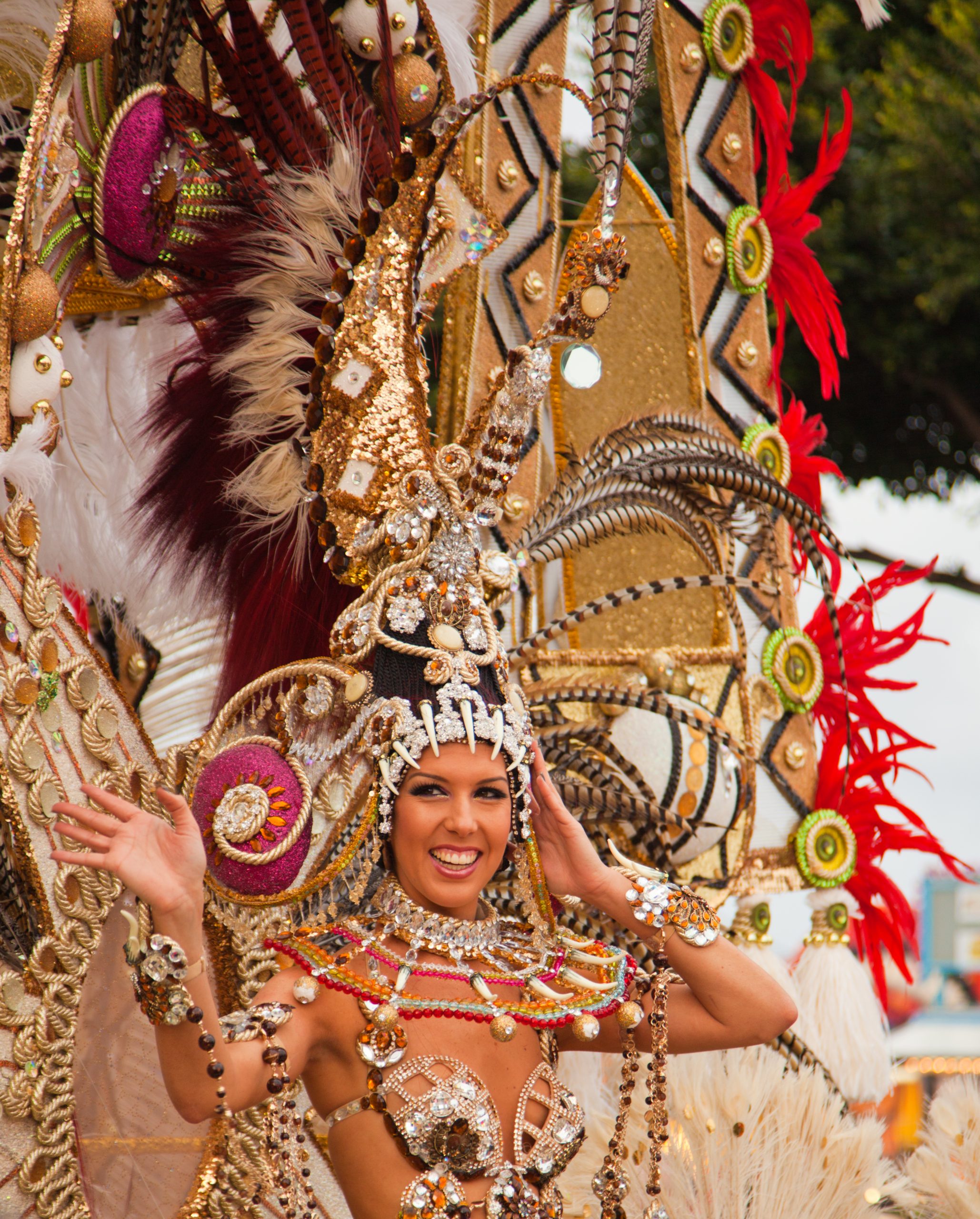 12 Fun Facts About the Canary Islands You Didn’t Know