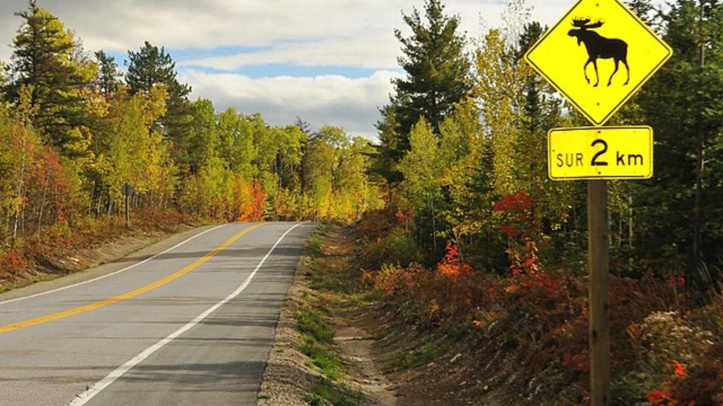 Top Canadian Hotspots for Your Next Adventure
