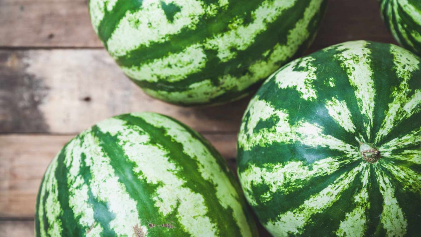 Melons