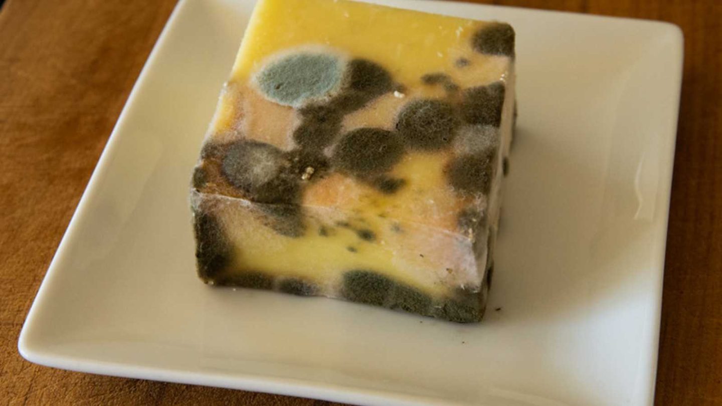 WWII Survival Foods Most People Wouldn't Touch Today