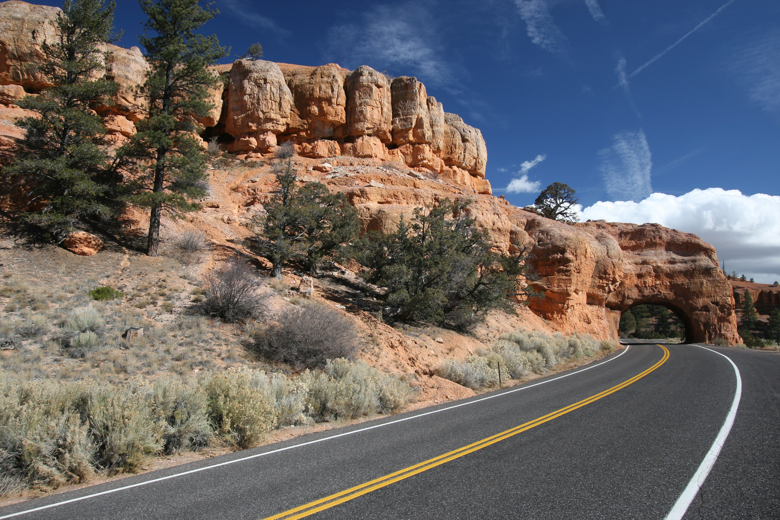 12 Bucket List National Road Trips in the United States