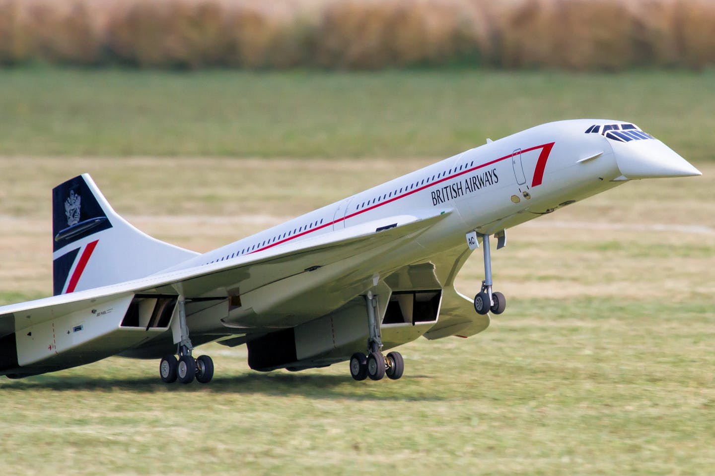 Close-up of a British Airways RC Concorde model taking off from a runway.