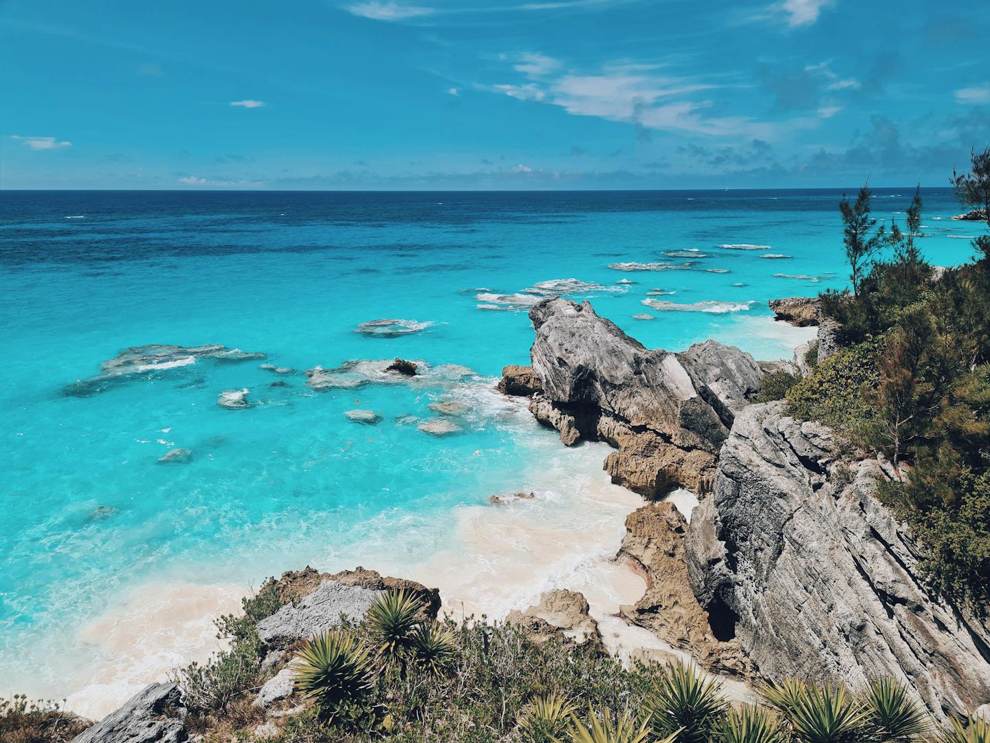 Discover the stunning Bermuda beach with clear turquoise waters, rocky cliffs, and lush foliage.
