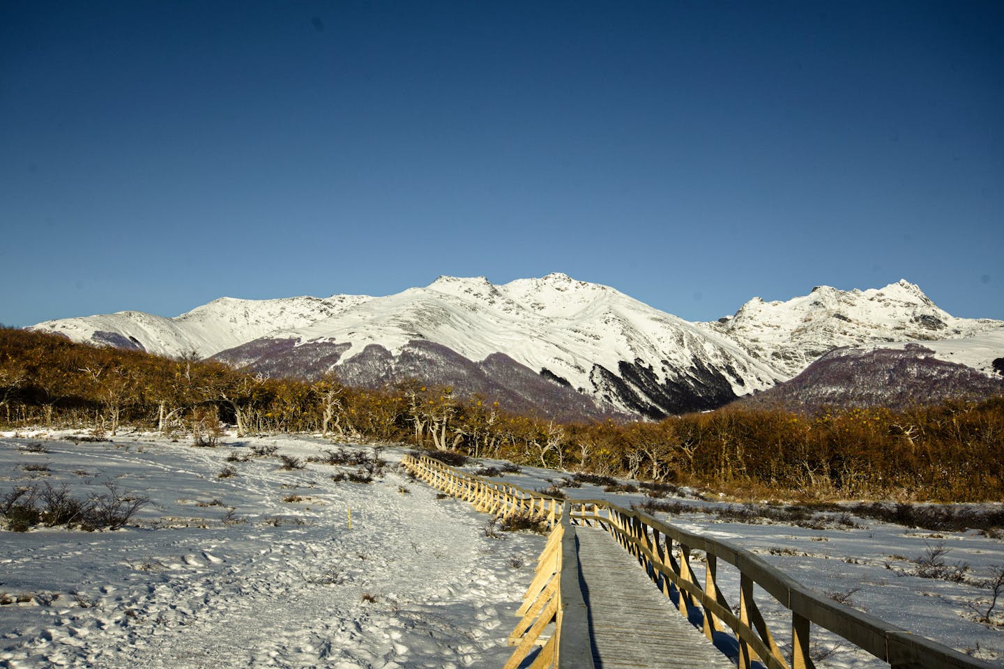 Explore the breathtaking snowy mountains and wooden pathway in Ushuaia, Argentina.