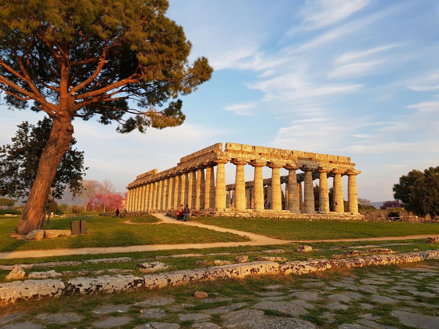 Golden hour view of the ancient Temple of Hera in Paestum, Italy, highlighting its historic columns.