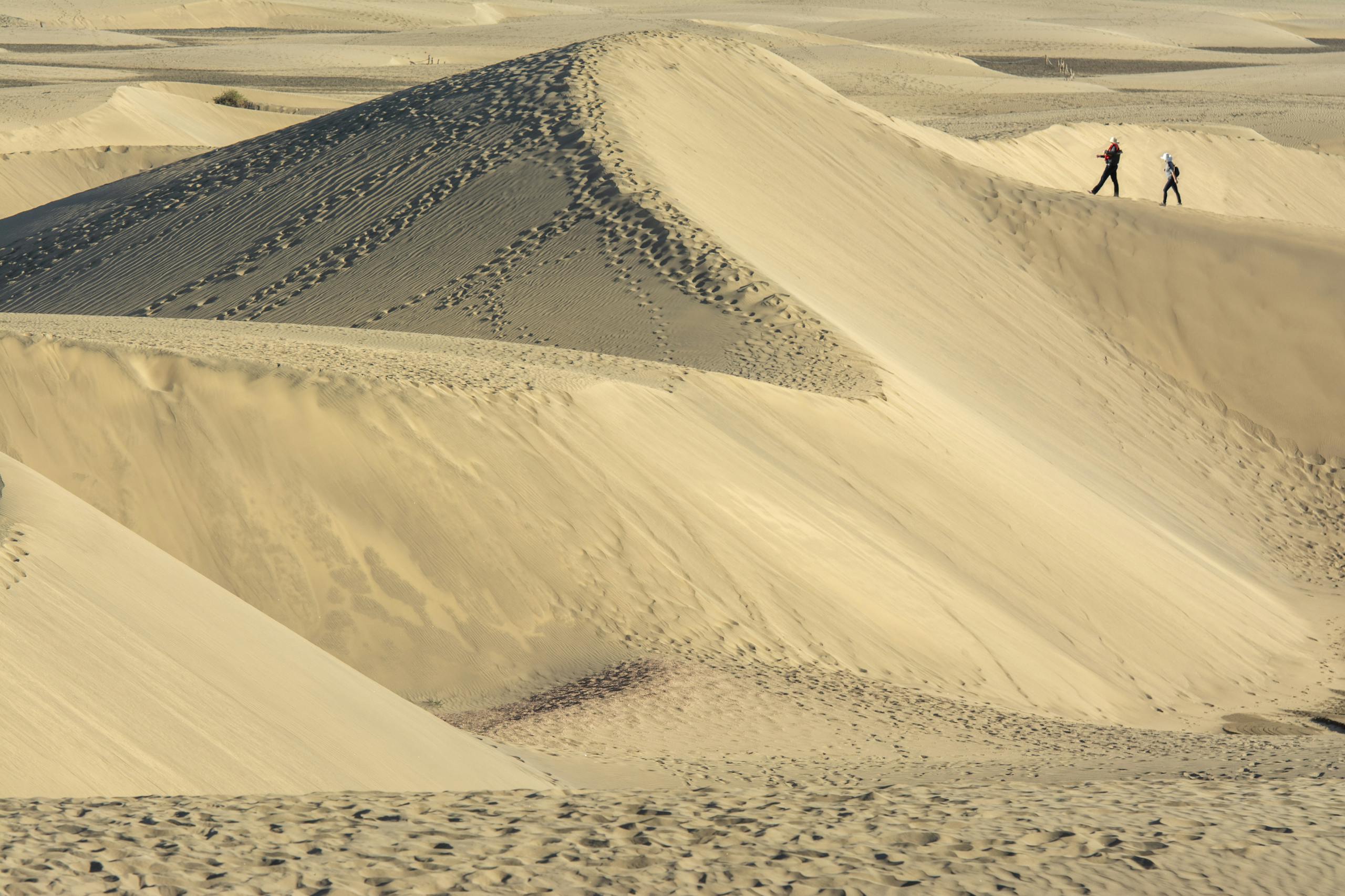 Two adventurers traverse the stunning sand dunes of Maspalomas, Gran Canaria under clear skies.