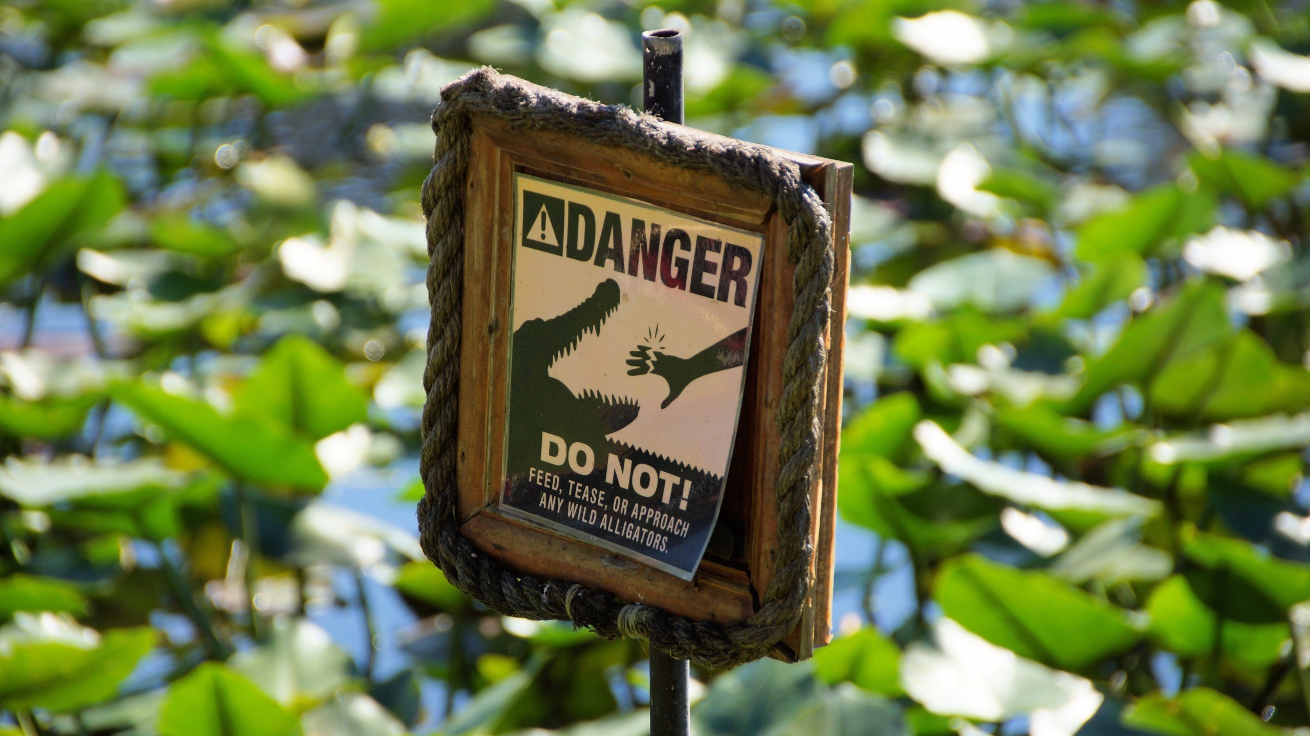 13 U.S. National Parks with Dangerous Wildlife You Should Be Aware Of