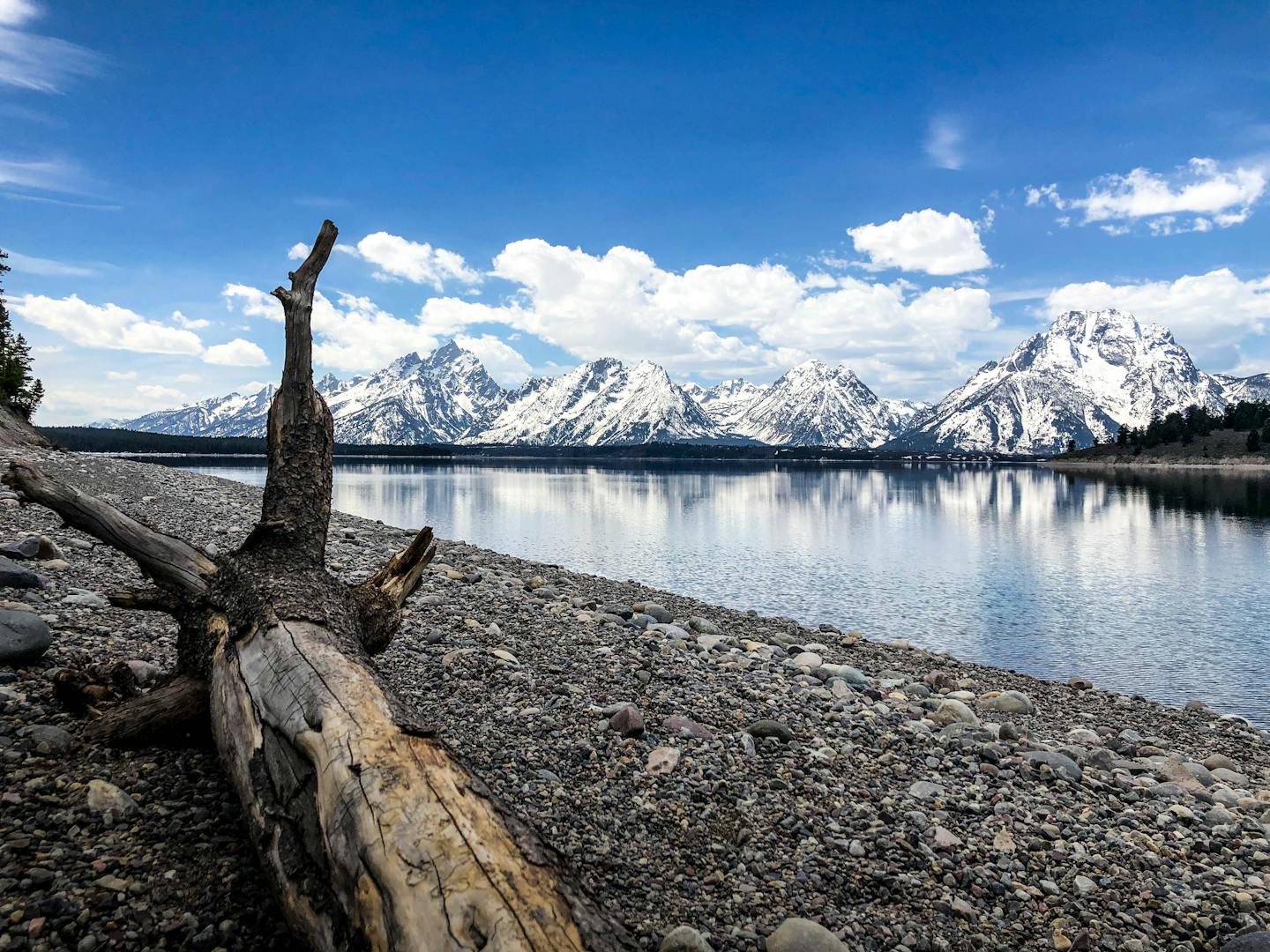 Snow-capped Tetons reflecting on Lake Jackson's serene waters under a vibrant sky.