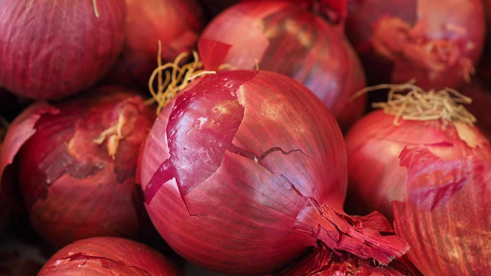 Onion