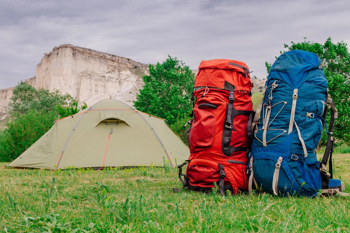 travel luggage picks
