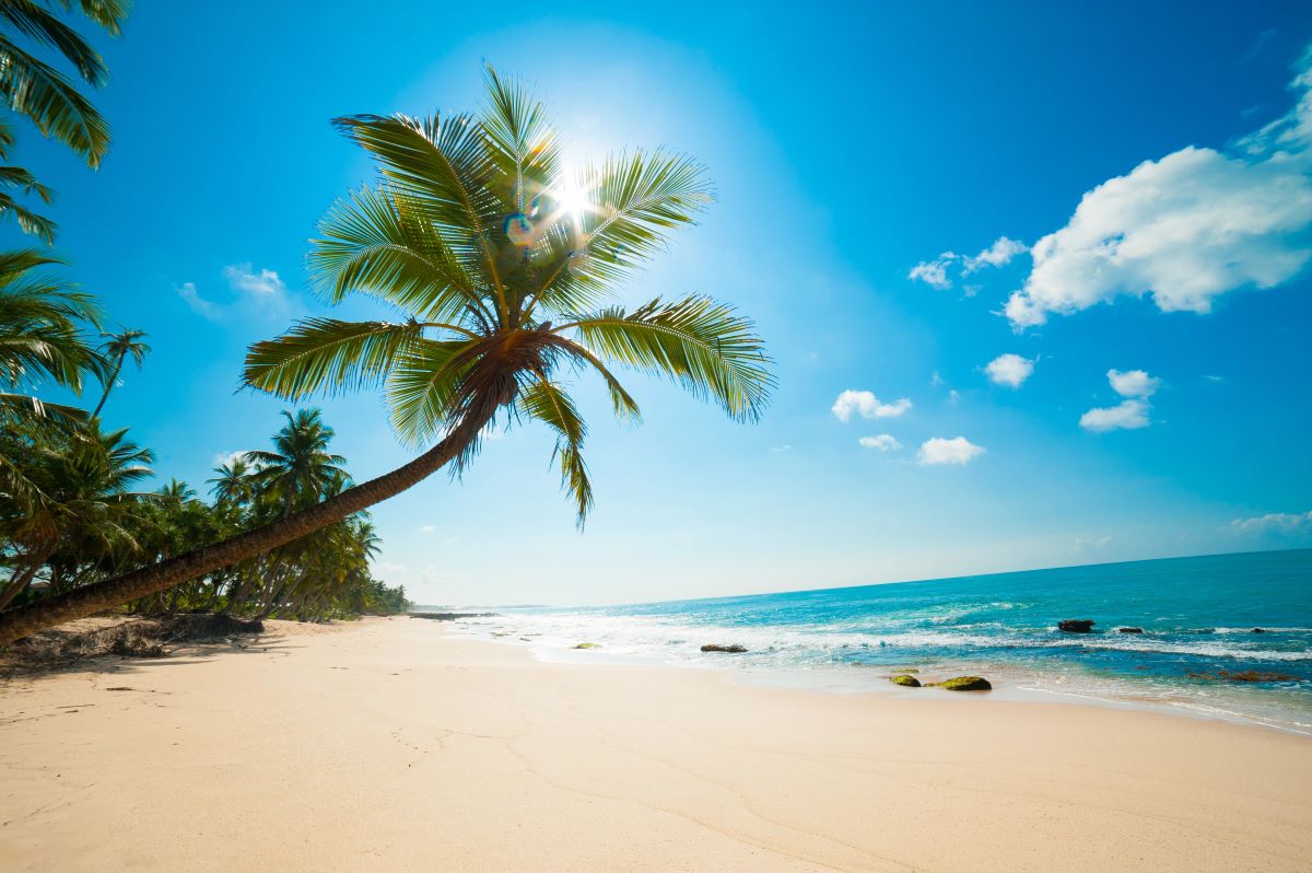 best family vacations with kids