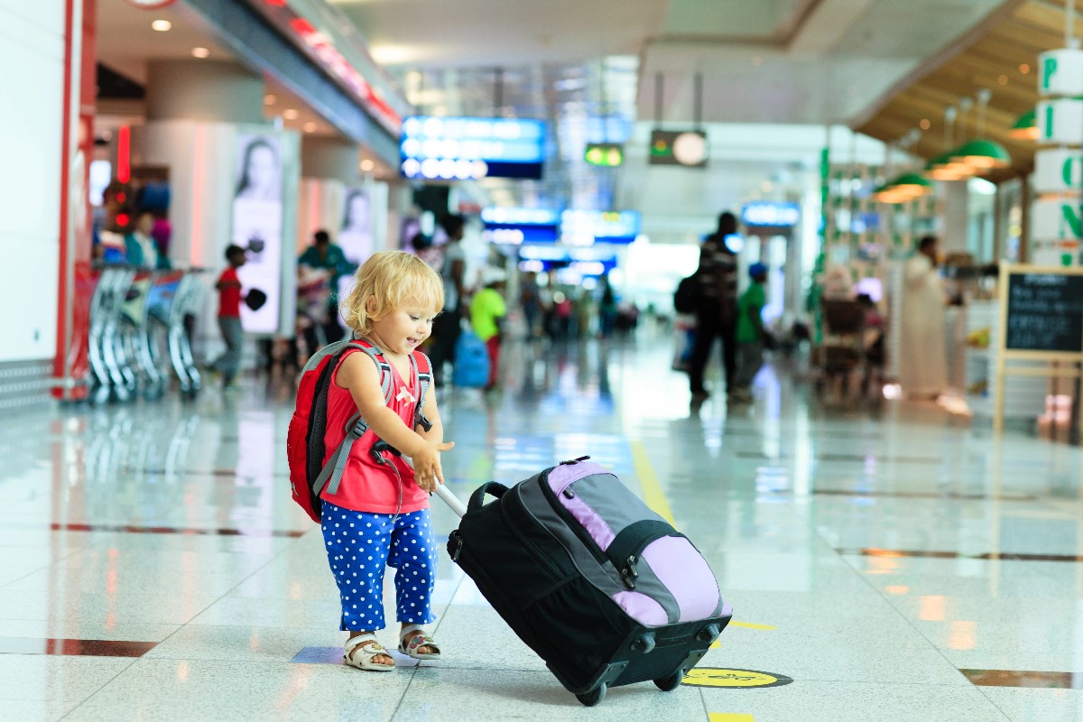 travel luggage picks