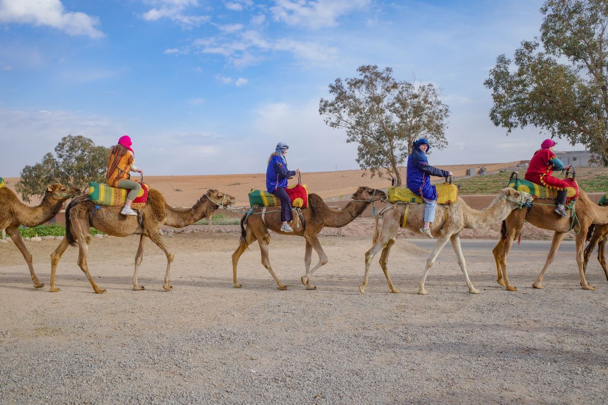 best family vacations