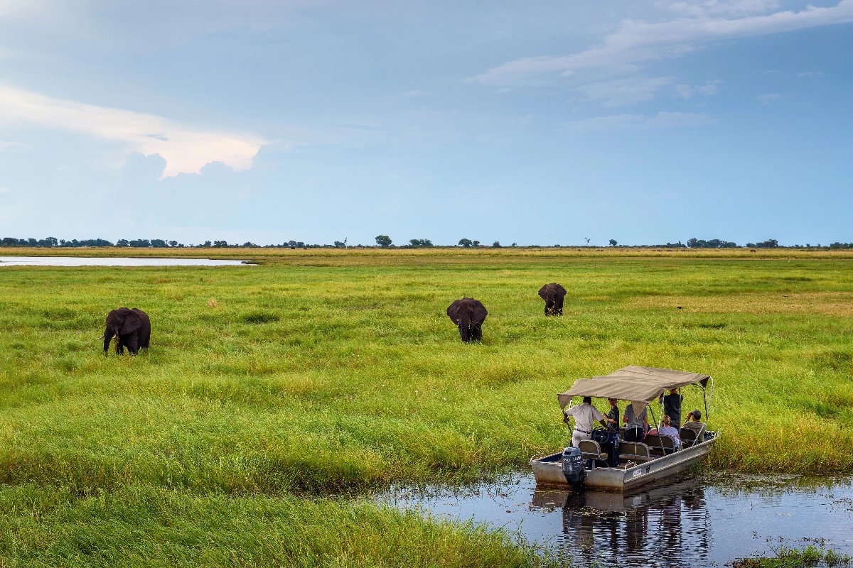 african safari
