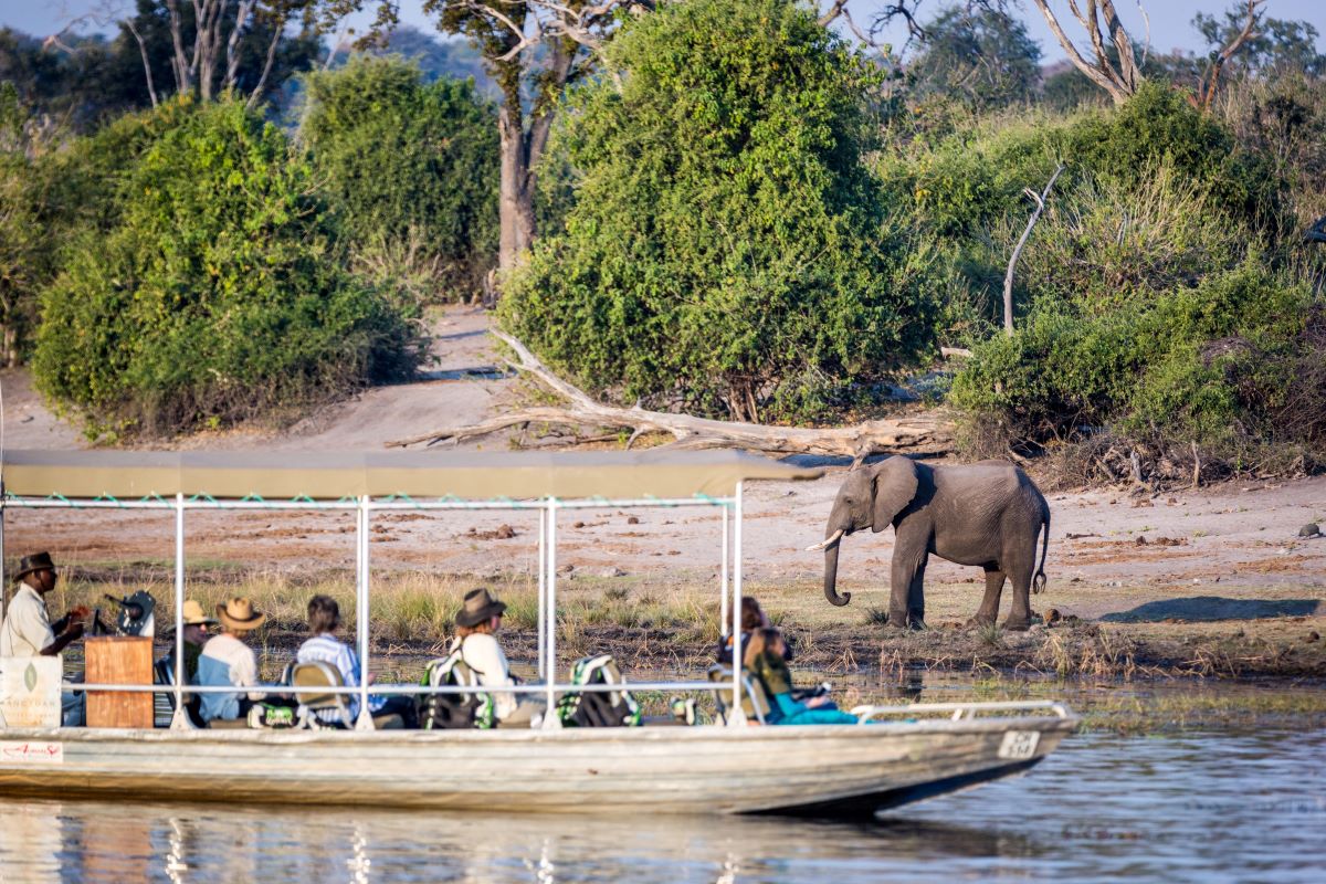 luxury african safari
