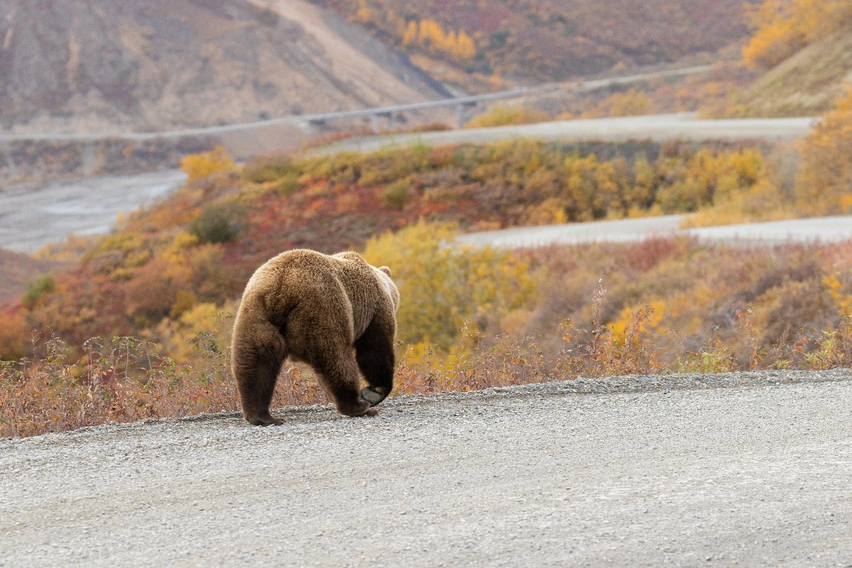 best national parks in the us