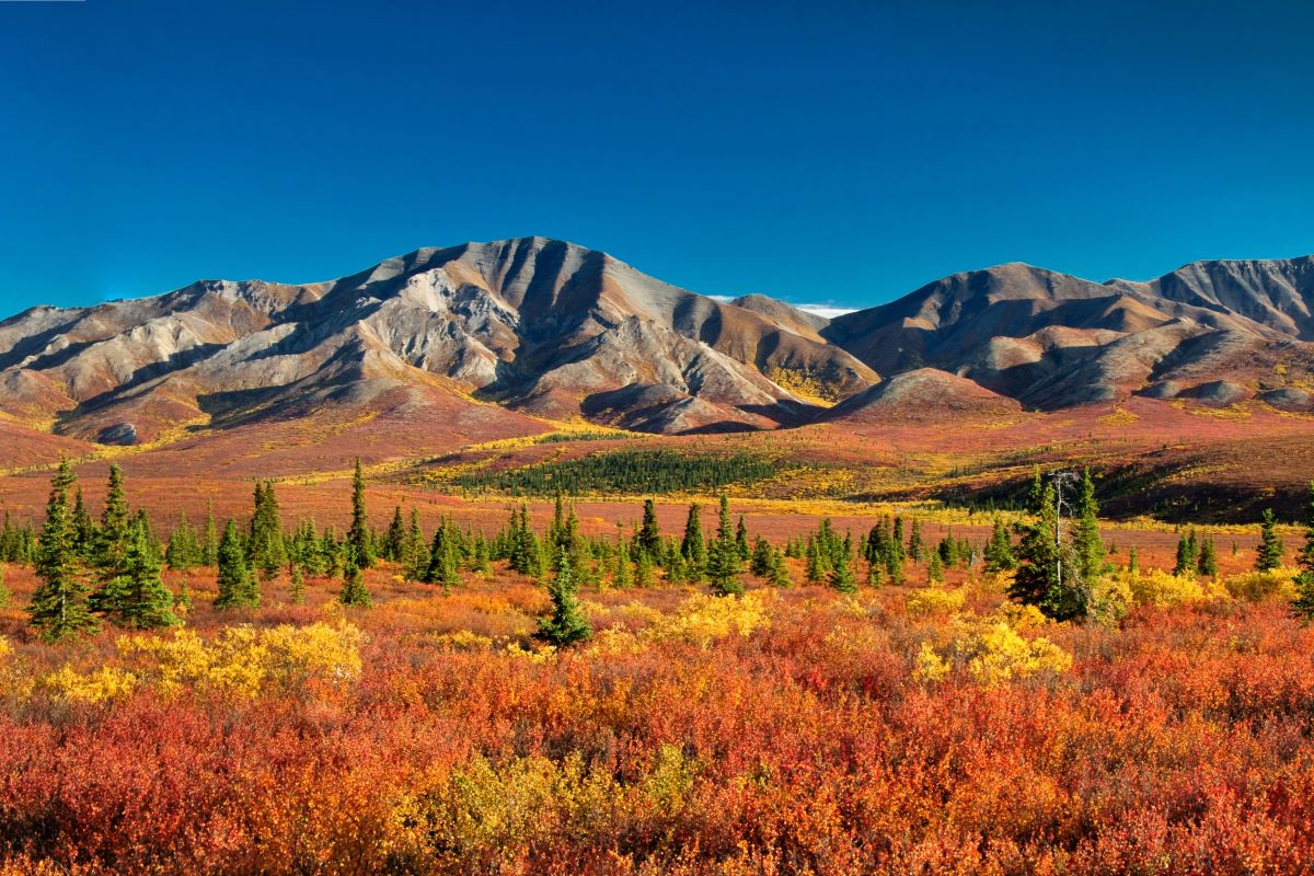 when to visit national parks