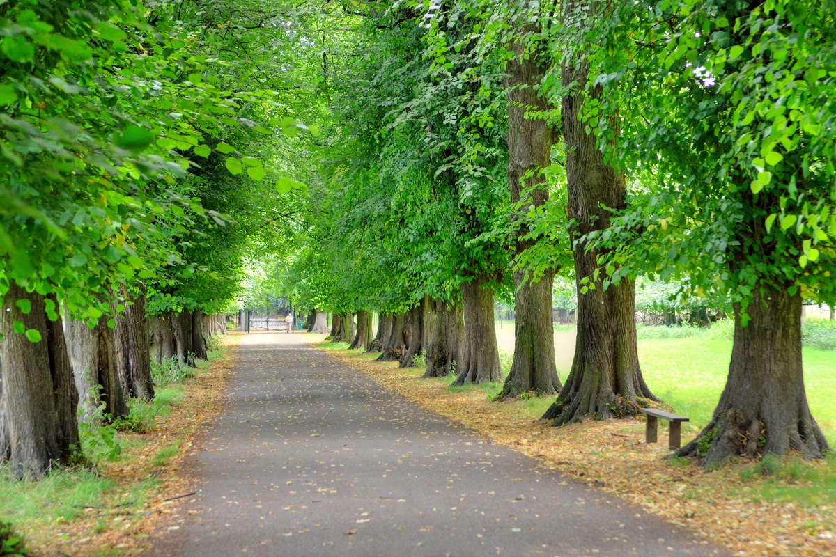best things to do in london