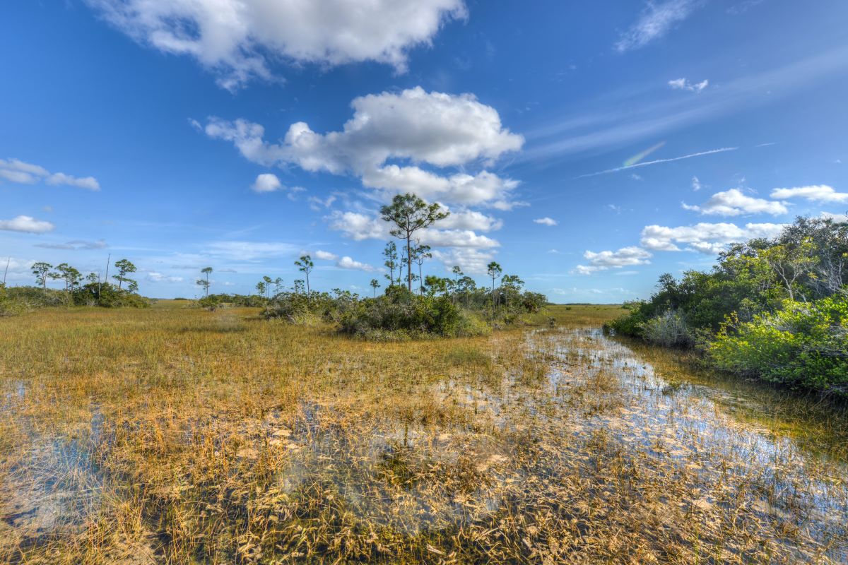 when to visit national parks