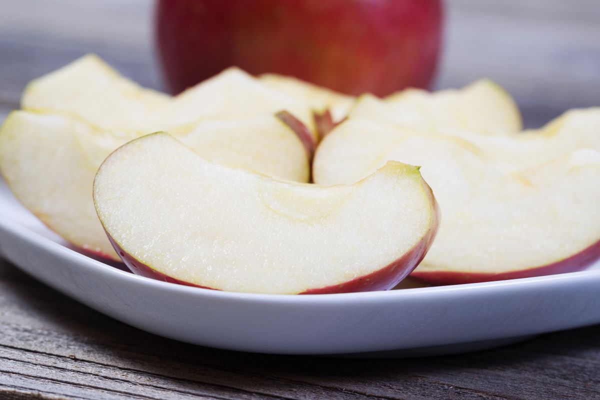 best travel snacks