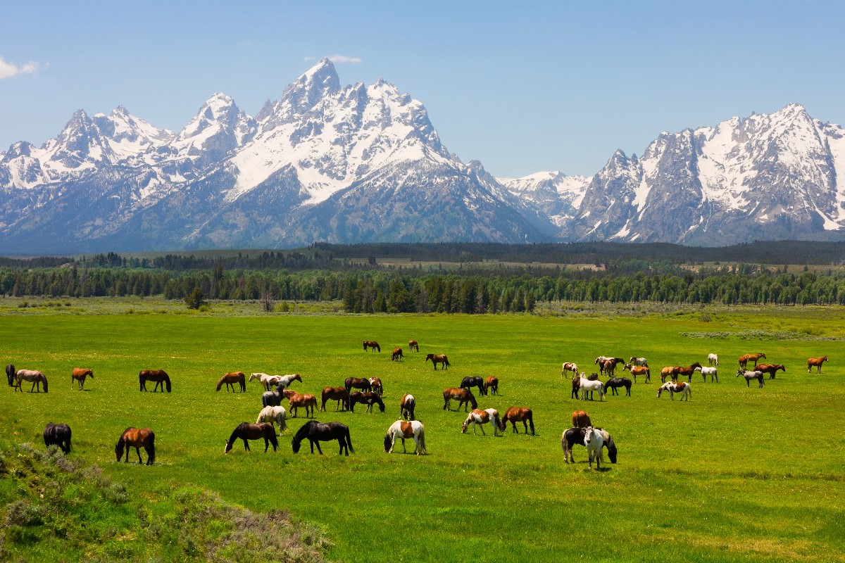 best national parks in the us
