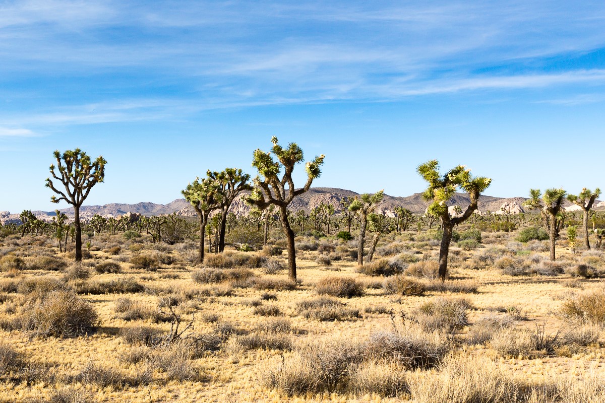 best national parks in the us