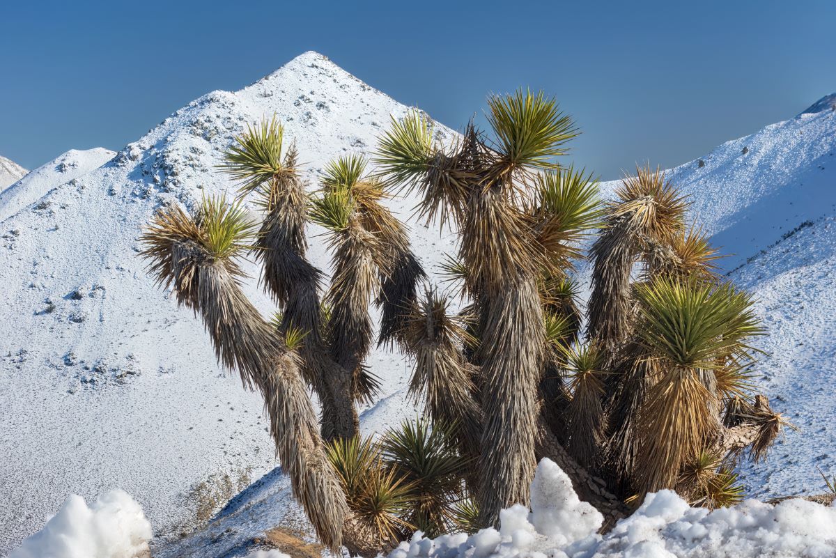 when to visit national parks