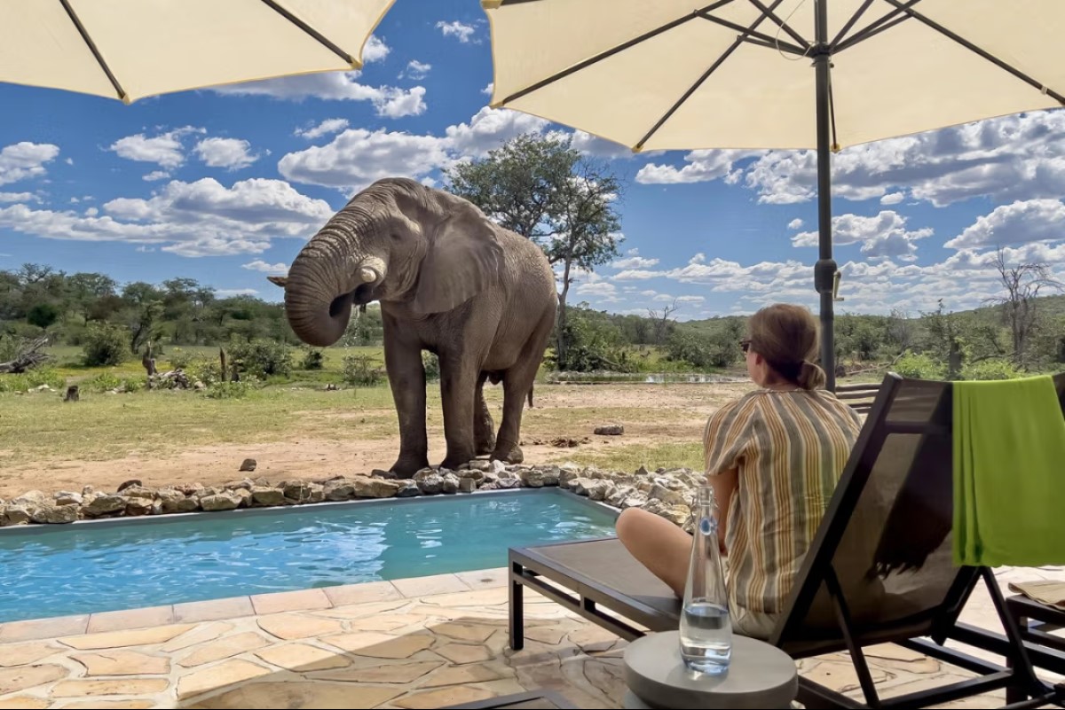african safari lodge