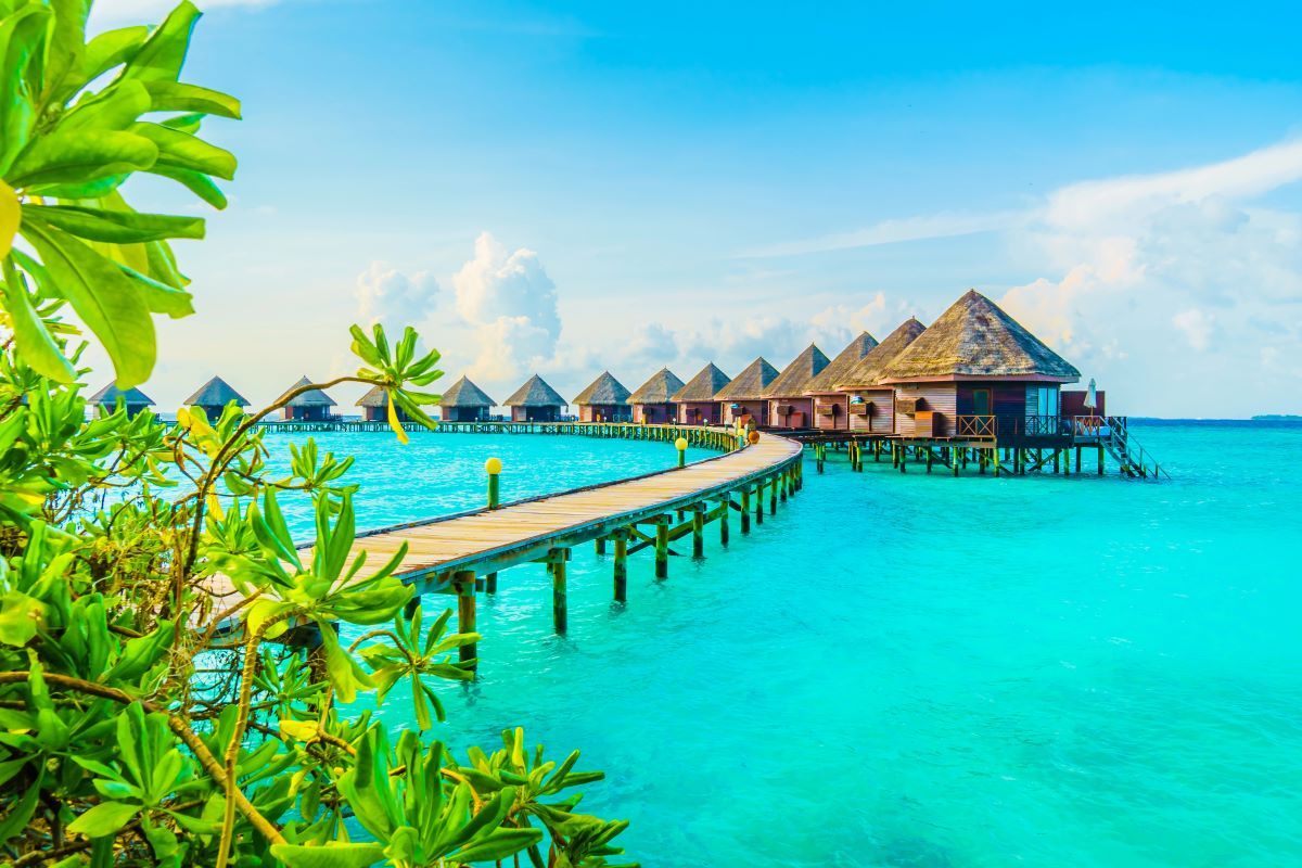 best family vacations
