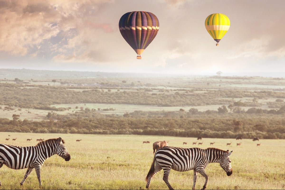 african safari