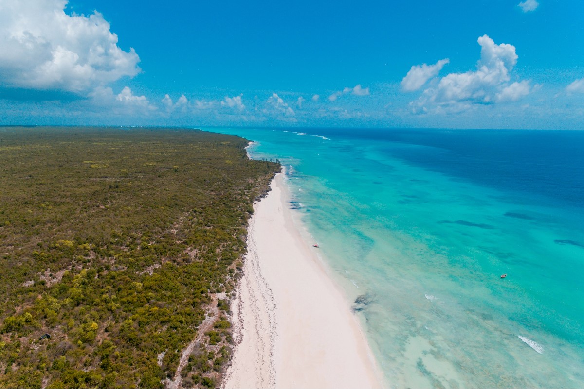 what to do in zanzibar
