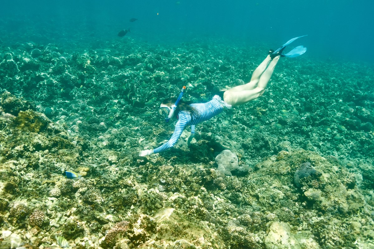 best hawaiian island to visit