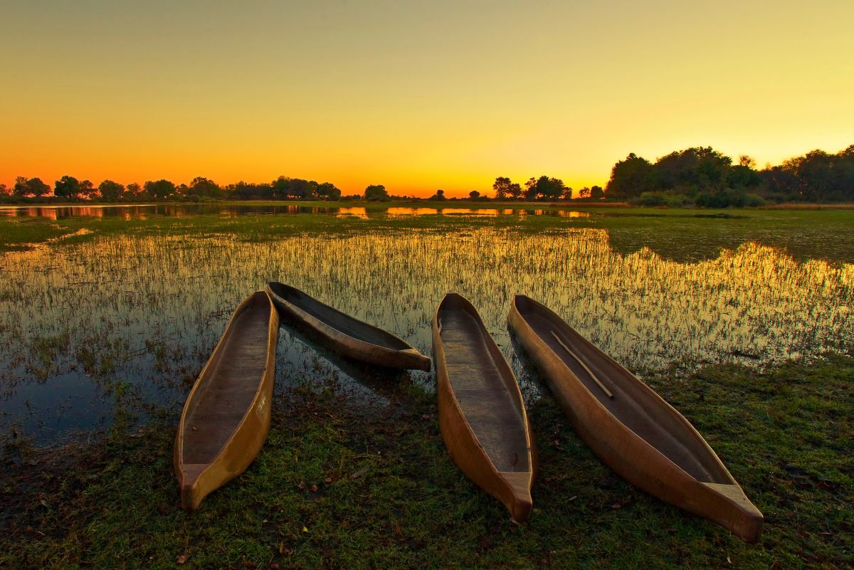 luxury african safari