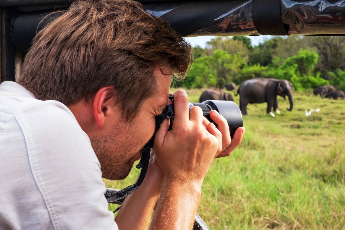 african safari theme